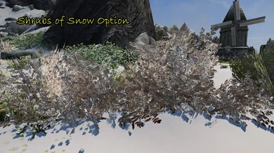 Shrubs of Snow Meshes and Textures