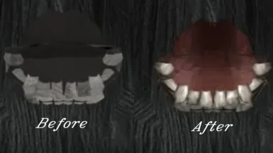 A comparison of what Flint's teeth looked like, before vs after 2.1.2