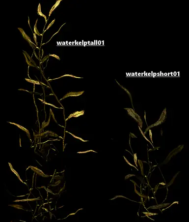 Main meshes
