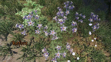 Original Cathedral - 3D Mountain Flowers