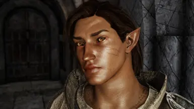 8 - Wood Elf (var)