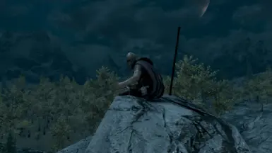 Enjoying the view