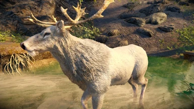 White Stag Reindeer - MM Real Elk