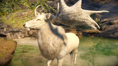 White Stag Male Elk - MM Real Elk