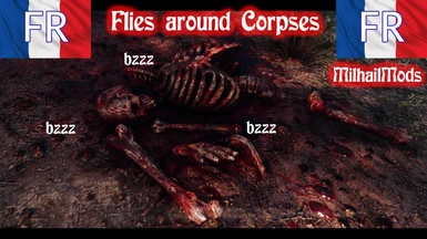 Flies around corpses - French version