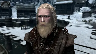 Jarl Borg at Skyrim Special Edition Nexus - Mods and Community