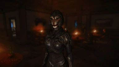 TL-Elven Armor - SSE pic by Daymarr