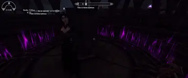 AnotherVampireLeatherArmorSPID_FOR_Serana