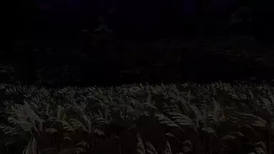 Tundra at night