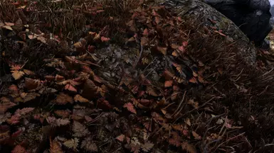 Reach leaves