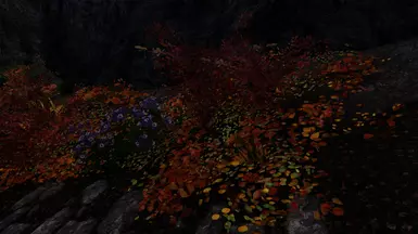 Outside Riften