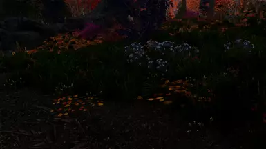 Rift Green Grass