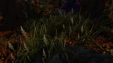 Rift Spring Grass