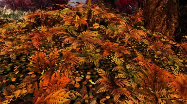 Rift Vegitation