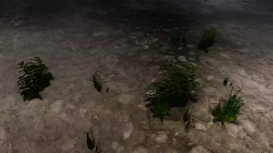 Water Grass