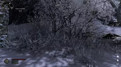 Snow grass