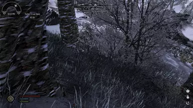 Snow grass