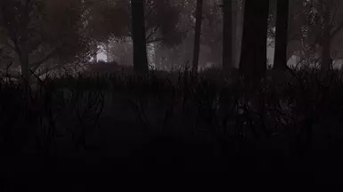 Dead Marsh Water Bush