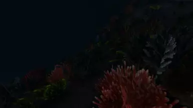 Ocean Coral