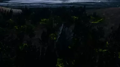 Water Plants