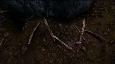 Washed Up Driftwood