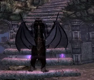 Back view in realm of lorkhan