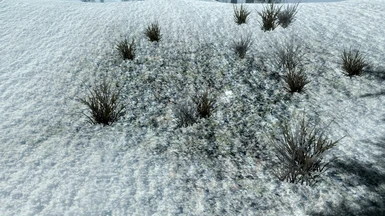 Fluffy Snow Grass