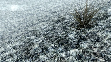 Fluffy Snow Grass 1_1