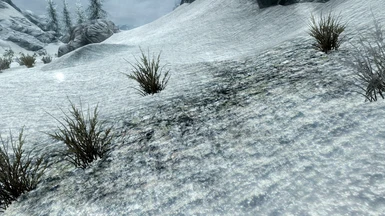 Fluffy Snow Grass