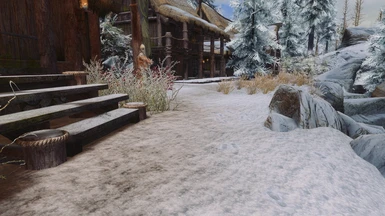 Dirt Snow Path - 2k texture and Re-Shade ENB