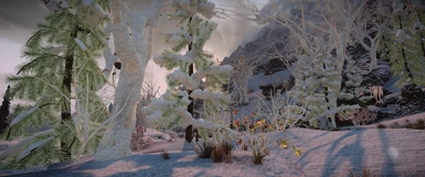 3D Trees Fluffy Snow Patch v1