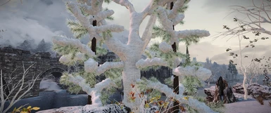 3D Trees Fluffy Snow Patch v1