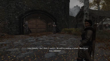 Should we pay this tax to enter Riften?