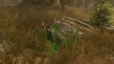 With Reality Reshade and Grass and Ground Overhaul