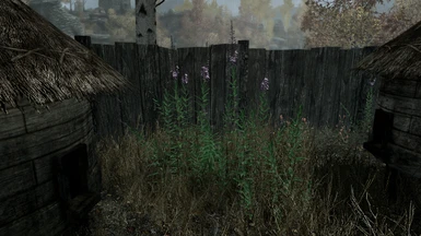 With Reality Reshade and vanilla grass