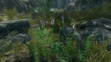 With Reality Reshade and vanilla grass