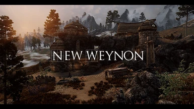 New Weynon