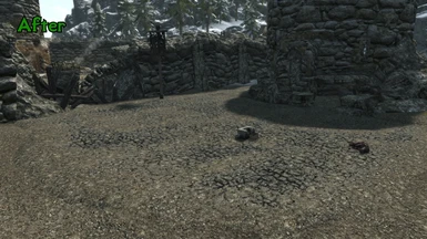 Noble Skyrim Textures - With Mod