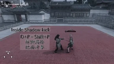 Inside Shadow Kick to GroundHits