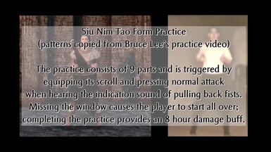 Siu Nim Tao practice. From the showcase video.