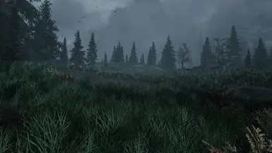 Cathedral Landscapes - Forest Grass for Green Whiterun Tundra. at ...