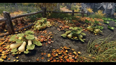 All Variants - No Seasons, all harvestable year-round