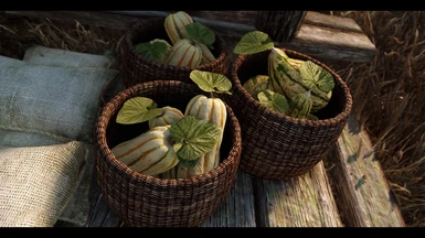 JK's Skyrim gourd baskets