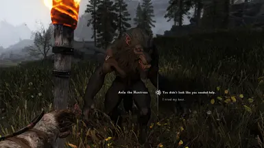 Companions No Werewolf Option - Fixed at Skyrim Special Edition Nexus -  Mods and Community