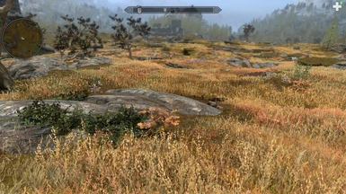 comparison (Velanimus Grass Overhaul - without GSF)