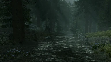 Along the road from Falkreath