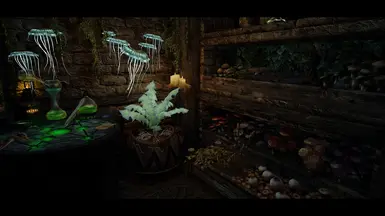 With Mod + Lux + ENB + Snazzy Furniture and Clutter Overhaul