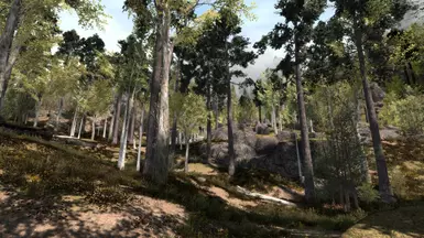 without grass add-on