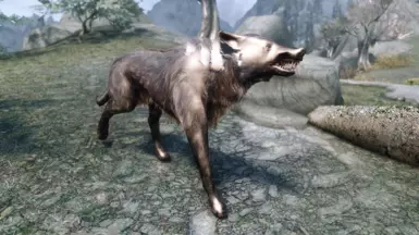Super Smooth Skyrim