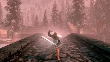 Dual Wield Sword MCO Moveset